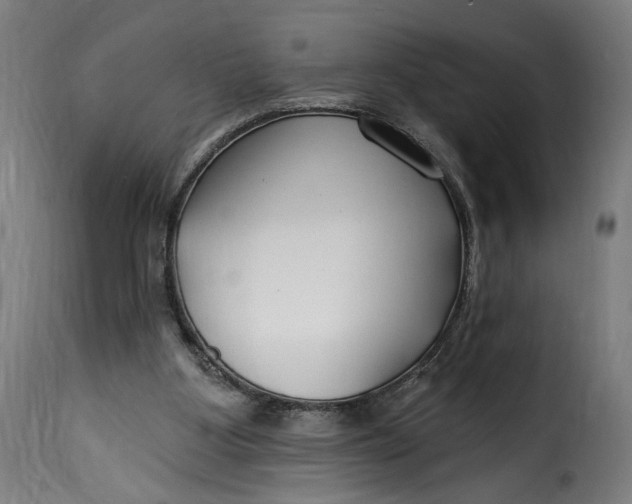 X0000115250107200911201651