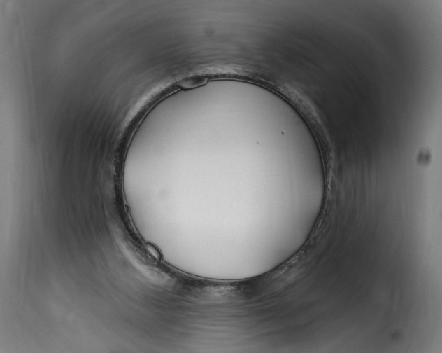 X0000115250108200911201651