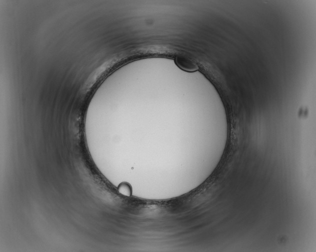 X0000115250111200911201651