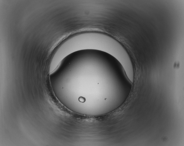 X0000115250112200911201651