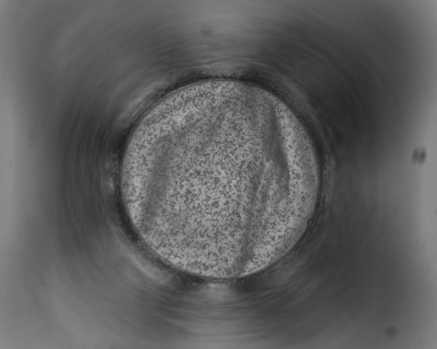 X0000115250114200911201651