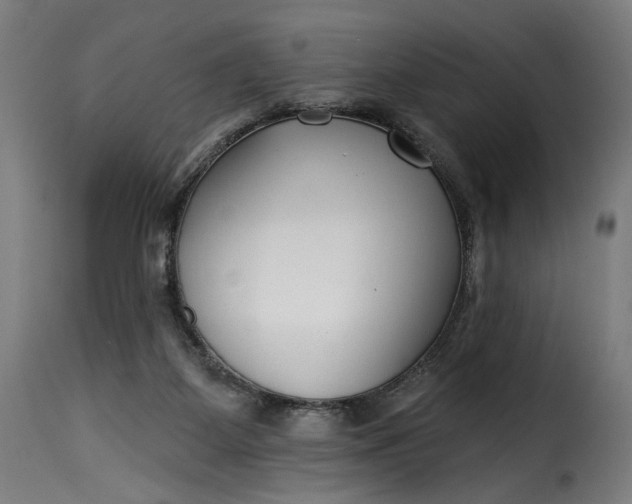 X0000115250115200911201651