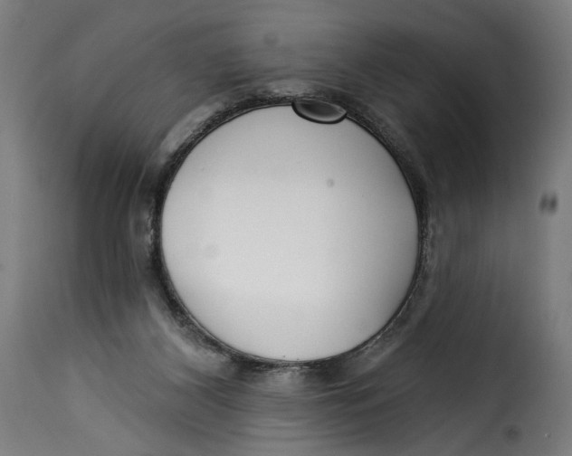 X0000115250116200911201651