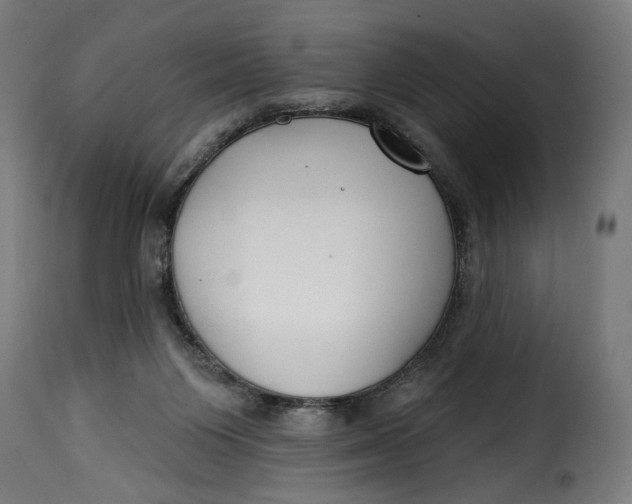 X0000115250119200911201651