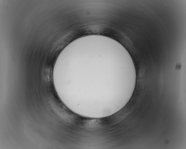 X0000115250122200911201651