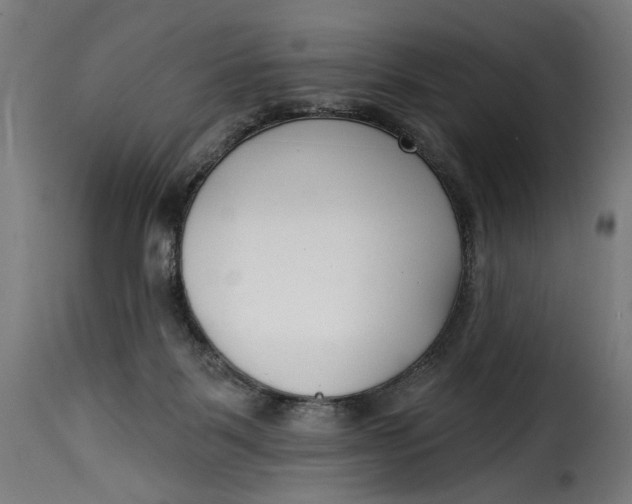 X0000115250123200911201651