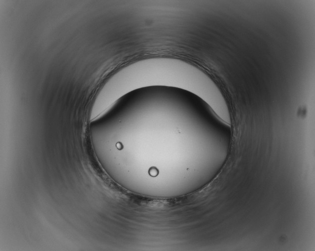 X0000115250124200911201651