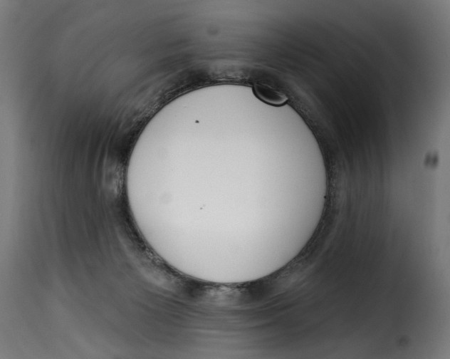 X0000115250125200911201651