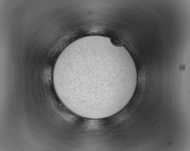 X0000115250127200911201651