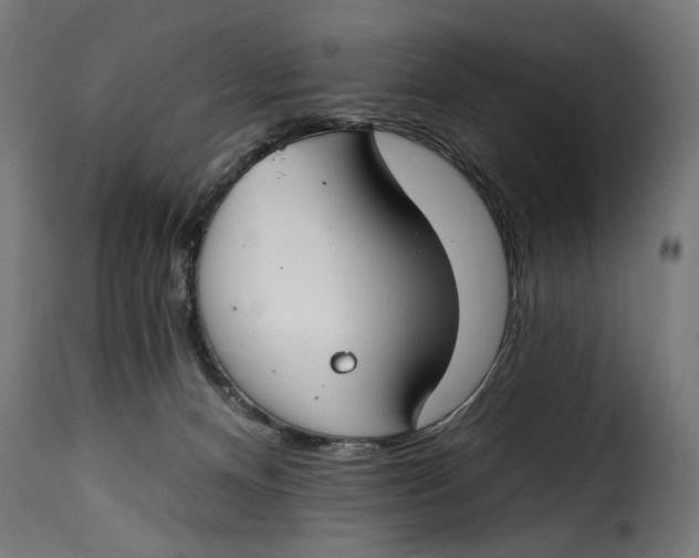 X0000115250128200911201651