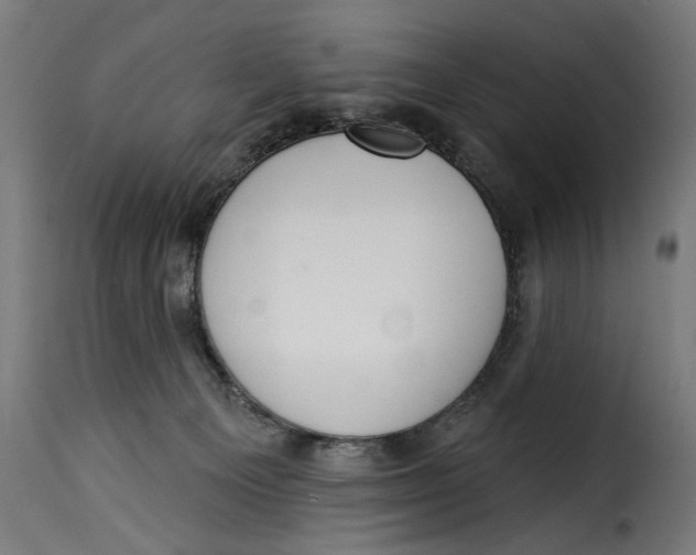 X0000115250129200911201651