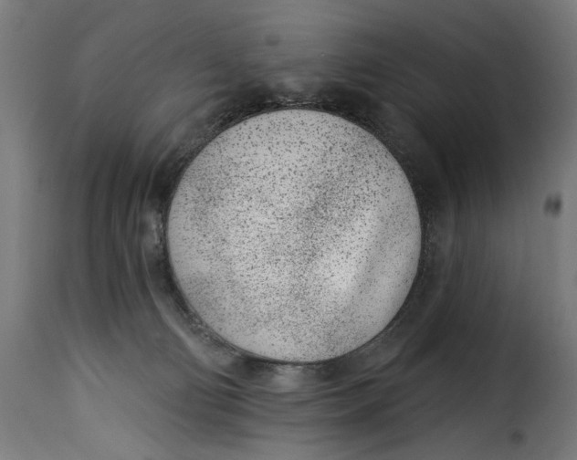 X0000115250130200911201651