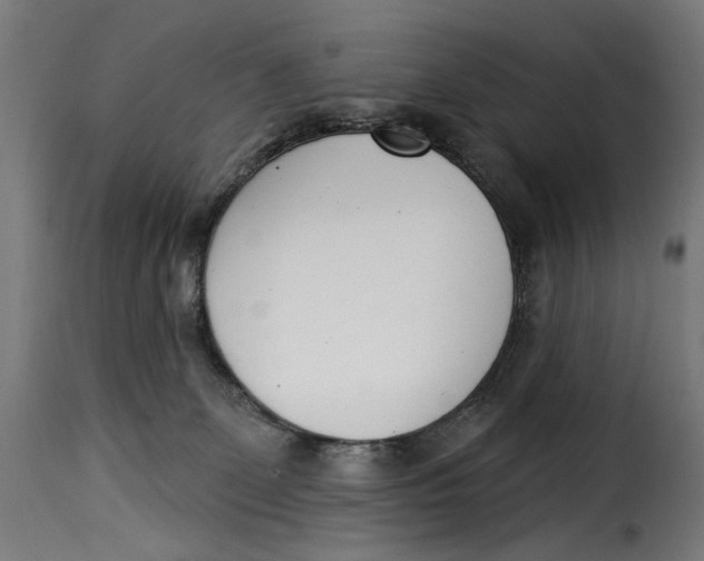 X0000115250131200911201651