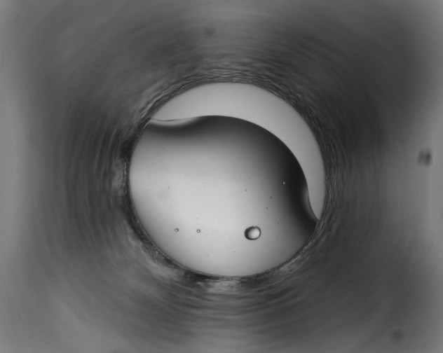 X0000115250132200911201651