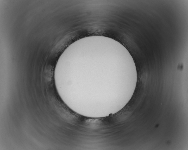 X0000115250133200911201651