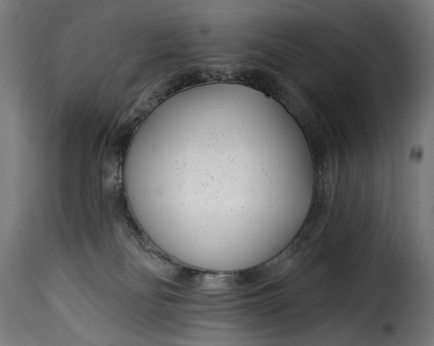 X0000115250134200911201651