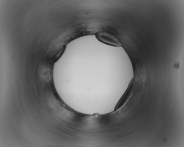 X0000115250136200911201651