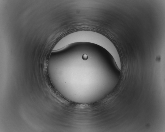 X0000115250137200911201651