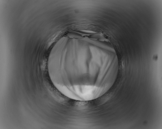 X0000115250139200911201651