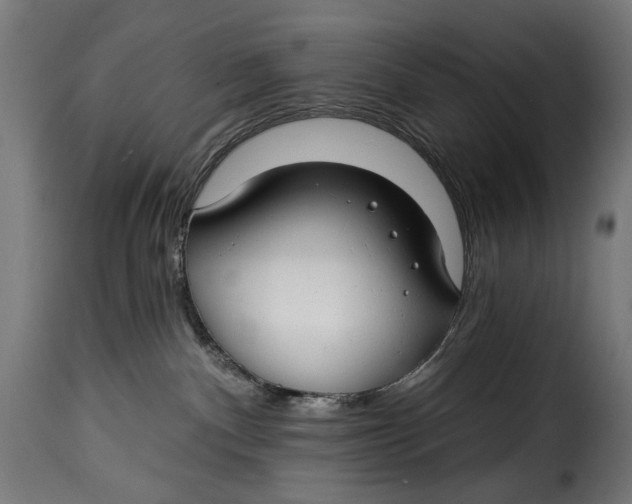 X0000115250140200911201651