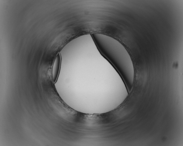 X0000115250141200911201651