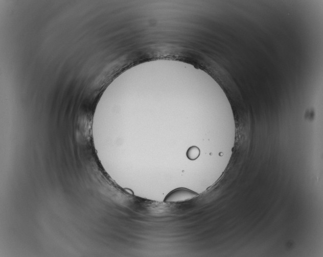 X0000115250142200911201651