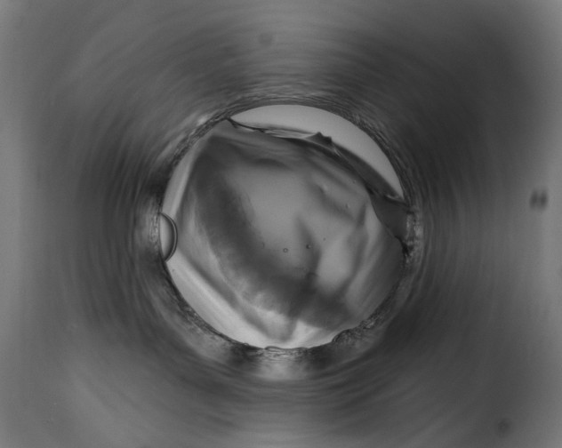 X0000115250143200911201651