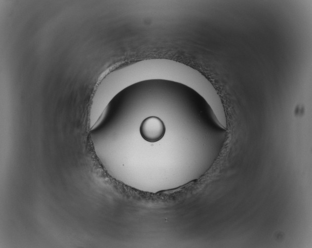 X0000115250144200911201651