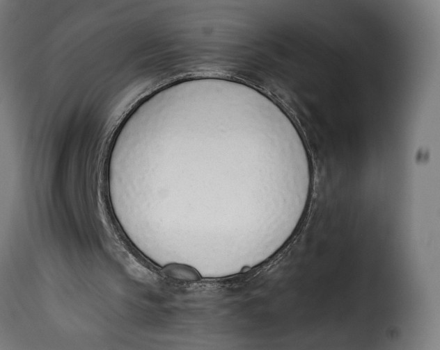 X0000115250145200911201650