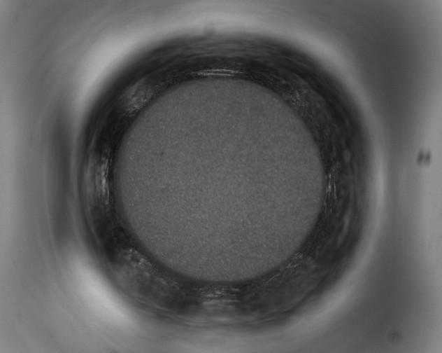 X0000115250146200911201650