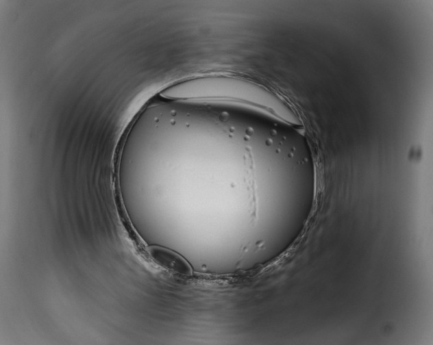 X0000115250147200911201650