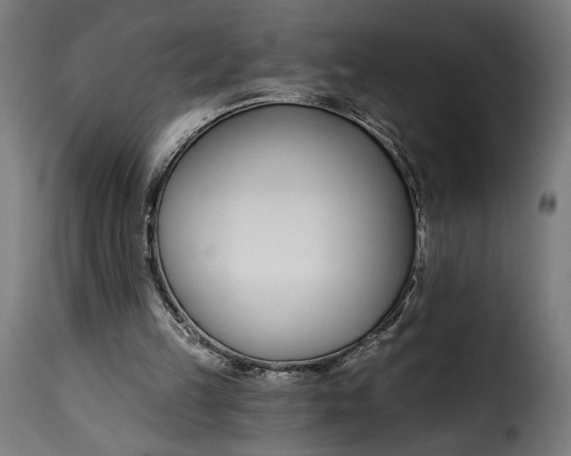 X0000115250149200911201650