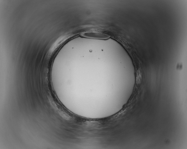 X0000115250150200911201650