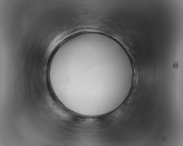 X0000115250151200911201650