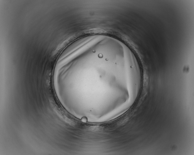 X0000115250153200911201650