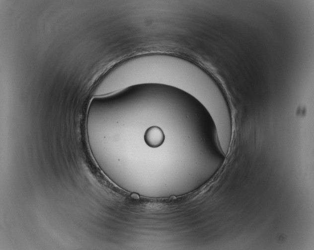 X0000115250154200911201650