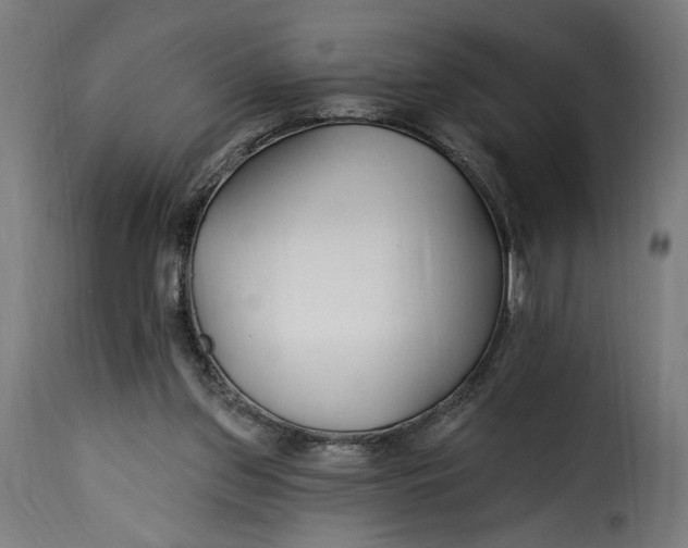 X0000115250157200911201650