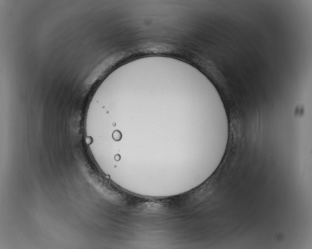 X0000115250159200911201650