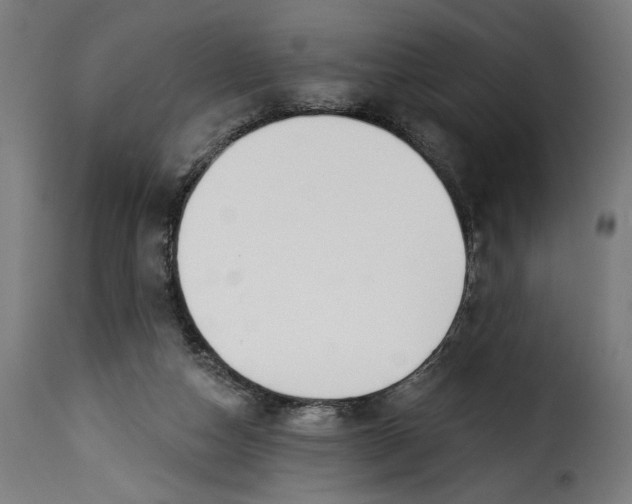 X0000115250162200911201650