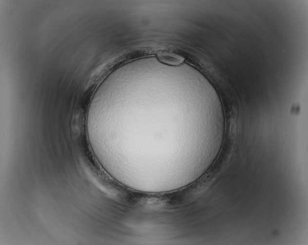 X0000115250165200911201650