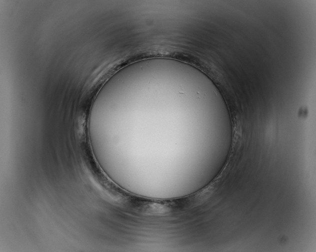 X0000115250166200911201650