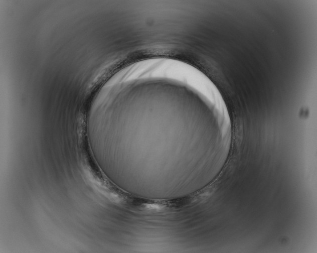 X0000115250167200911201650