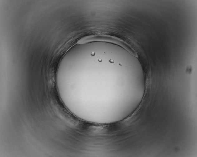 X0000115250170200911201650