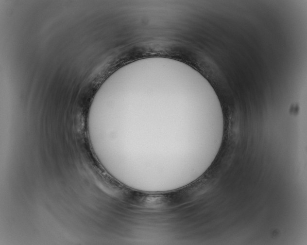 X0000115250173200911201650