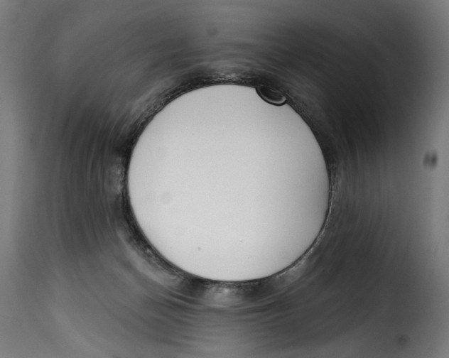 X0000115250174200911201650