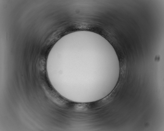 X0000115250175200911201650