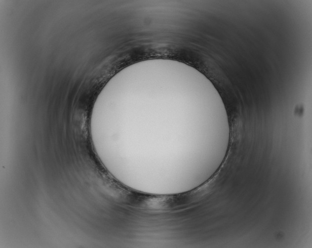 X0000115250178200911201650