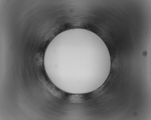 X0000115250179200911201650