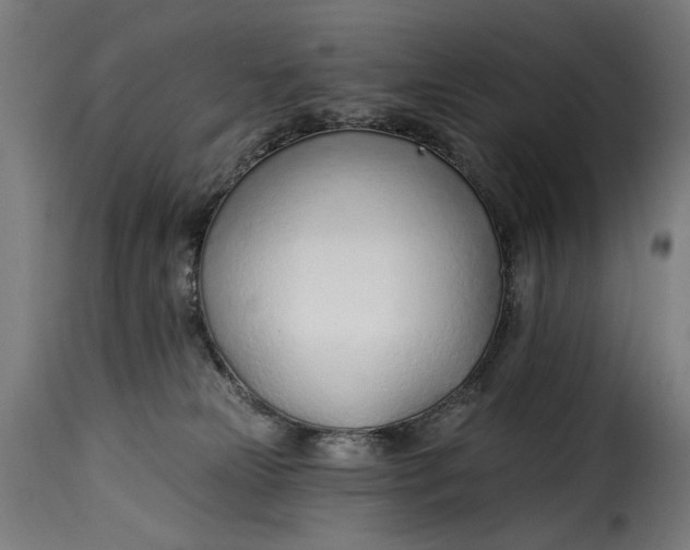 X0000115250181200911201651