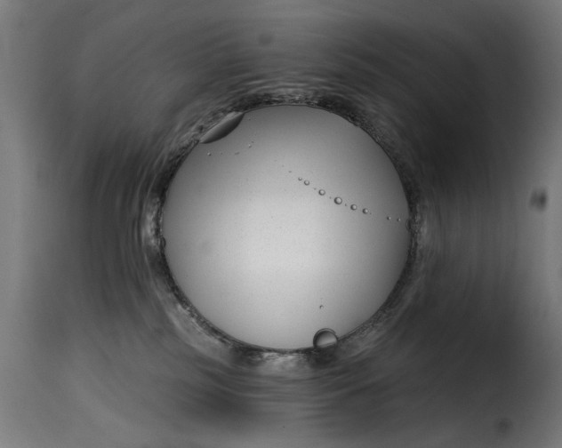 X0000115250185200911201651